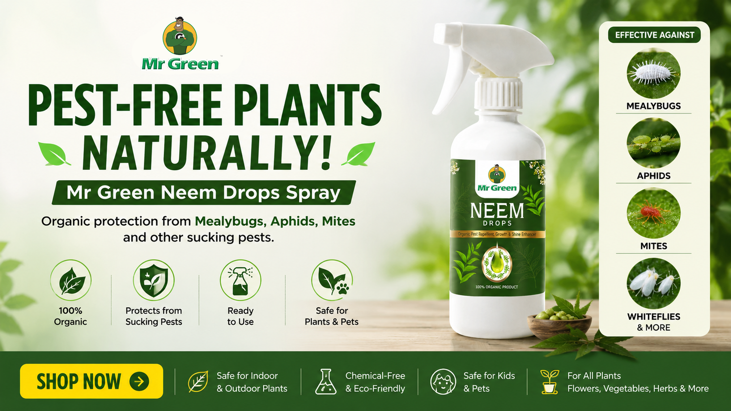 How to Get Rid of Mealybugs, Aphids & Mites Naturally | Best Organic Neem Spray for Plants
