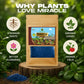 Mr Green Miracle Plant Growth Booster – 7 Micro-Nutrients