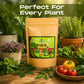 Mr Green Neem Guard – Organic Neem Khali for Plants - Mr Green