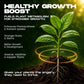 Mr Green Plant Diet – Instant Growth Booster Spray - Mr Green