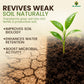 Mr Green SoilVita for Superior Soil & Plant Health - Mr Green