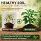Mr Green SoilVita for Superior Soil & Plant Health - Mr Green