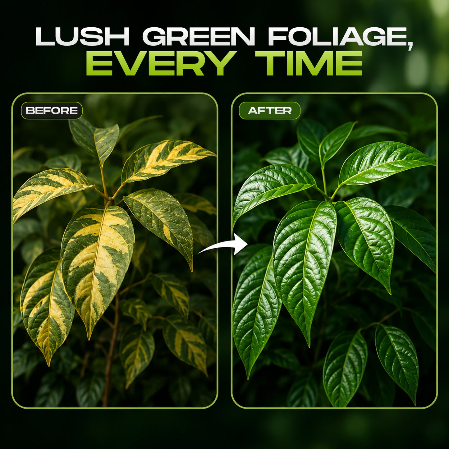 Mr Green Plant Diet – Instant Growth Booster Spray