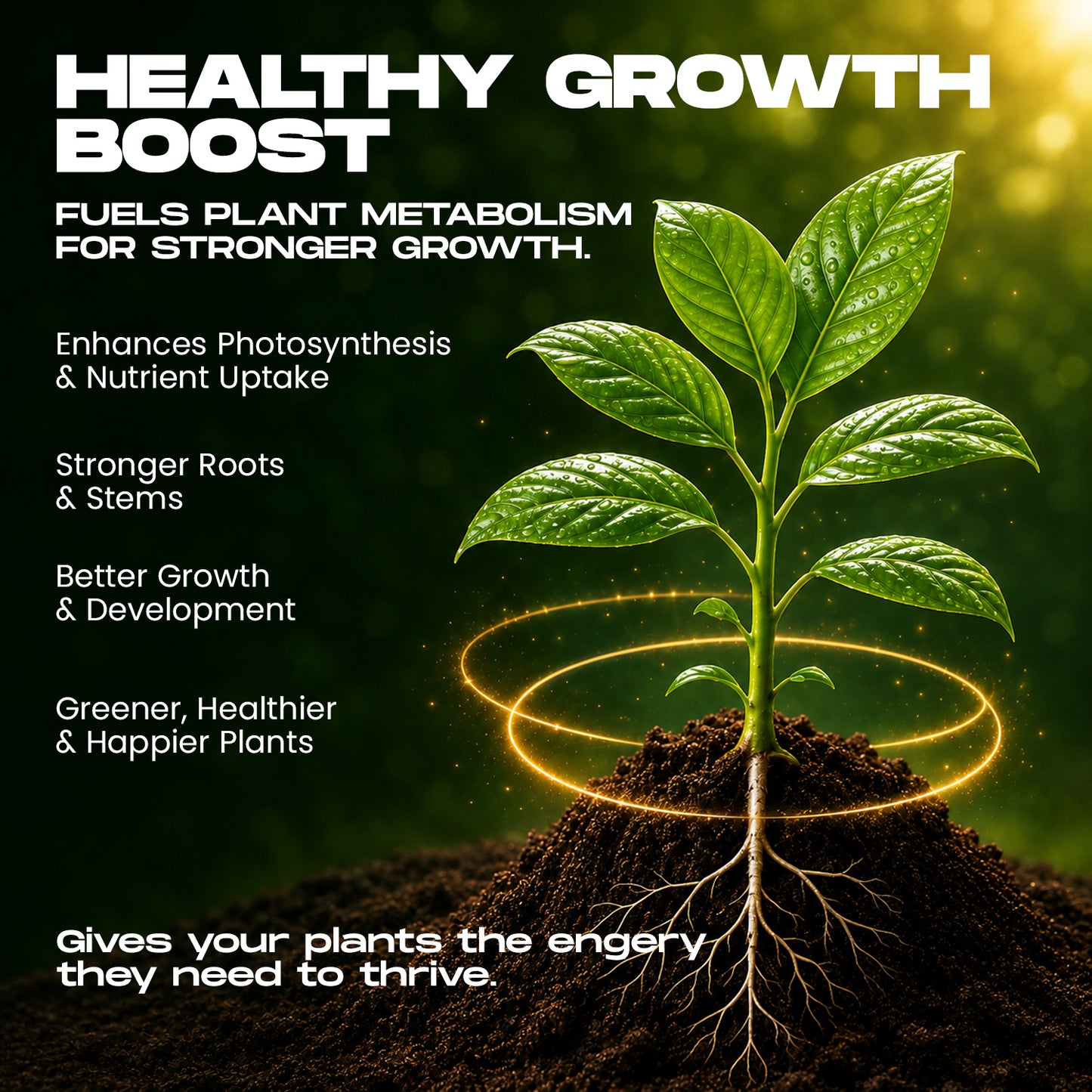 Mr Green Plant Diet – Instant Growth Booster Spray