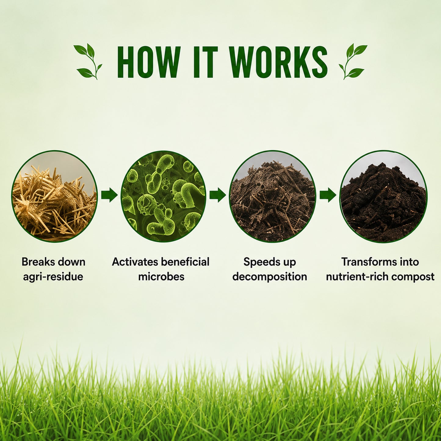 Mr. Green Pusa Decomposer Powder | Efficient Compost Fertilizer