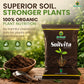 Mr Green SoilVita for Superior Soil & Plant Health