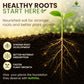 Mr Green SoilVita for Superior Soil & Plant Health