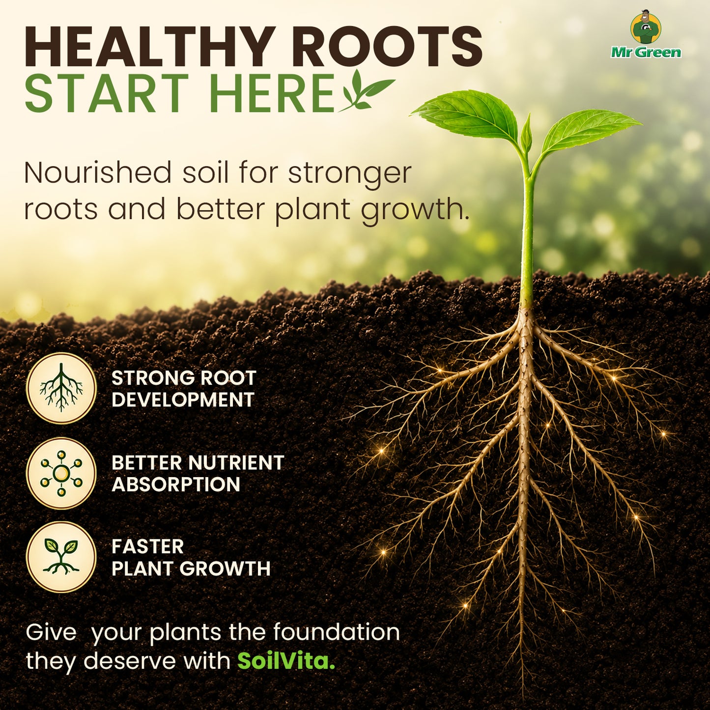 Mr Green SoilVita for Superior Soil & Plant Health