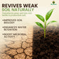 Mr Green SoilVita for Superior Soil & Plant Health