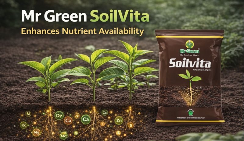 mr green soilvita