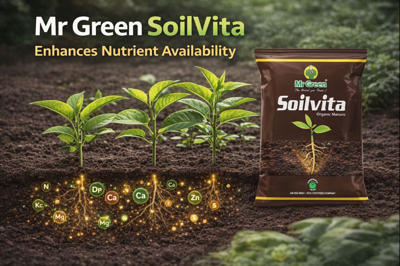 mr green soilvita